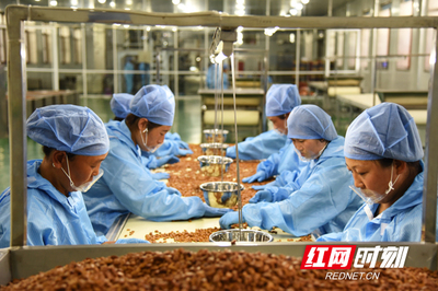 2019年“9·17中国坚果健康周” 良品铺子高端战略持续推进坚果产品升级