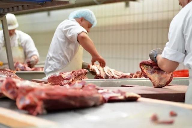 德国最大肉类加工厂爆发疫情,你还敢吃进口肉制品吗?|远读重洋